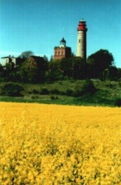 Rapsfeld bei Kap Arkona